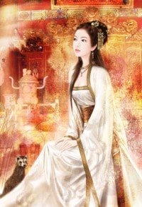 小七,且慢
